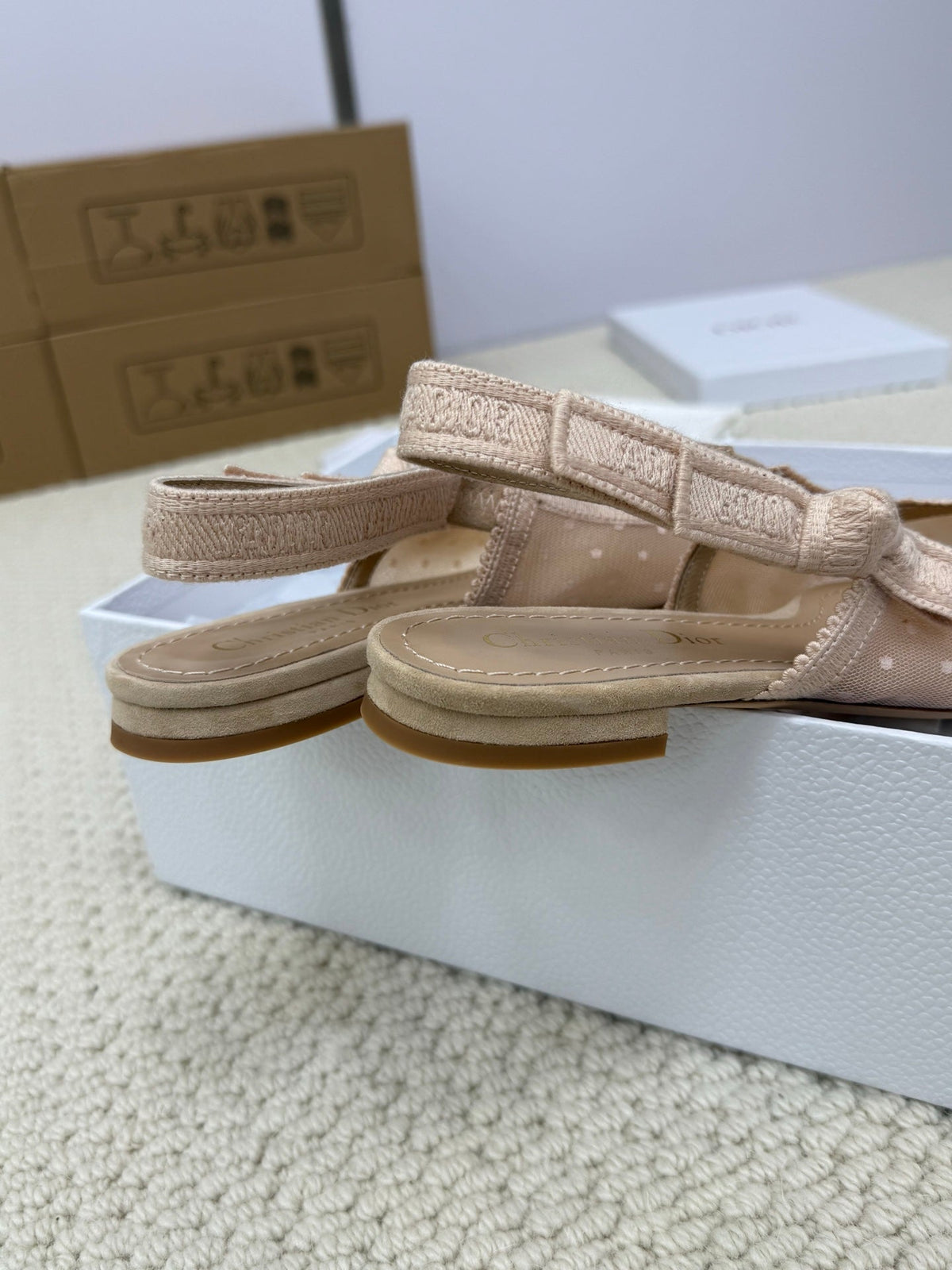 DIOR FLAT SLINGBACK 25S IN NUDE LACE NET FABRIC AND SUEDE